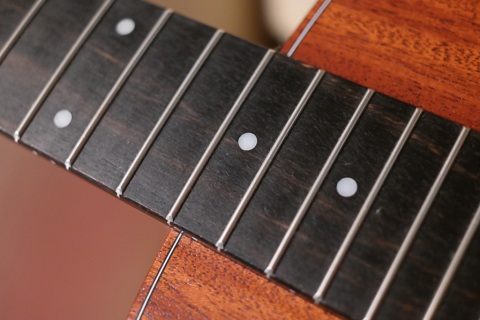 Ebony Fingerboard