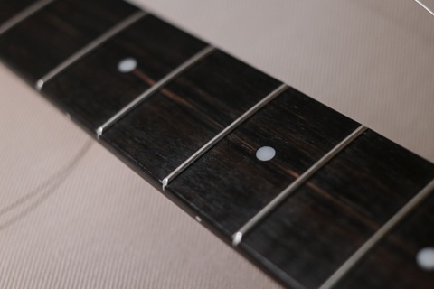 Ebony Fingerboard