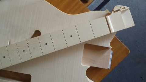 Body and neck