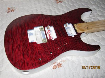 staining_5